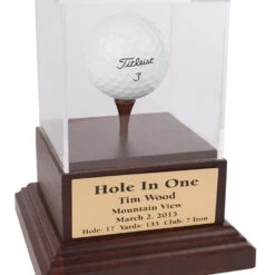 Ampere shop -Ampere shop acrylic hole in one display with cherry wood base 50